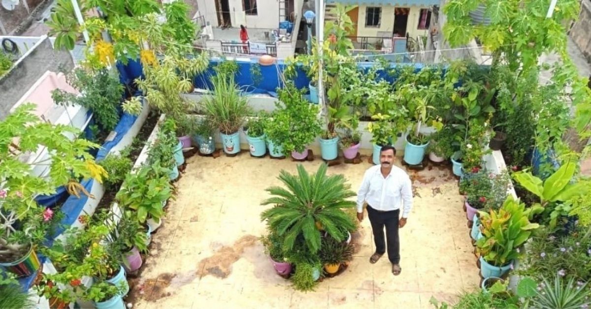 Dr Ganesh Kulkarni on his terrace garden