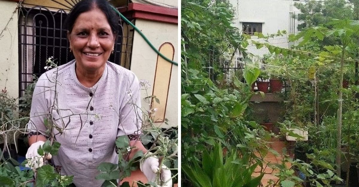 After Brain Stroke, 67-YO Retd Professor Finds Peace Growing 600+ Plants at Home