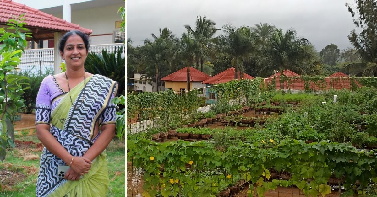 How a School Campus was Turned Into an Organic Farm, Yielding 40kg Of Fruits & Veggies
