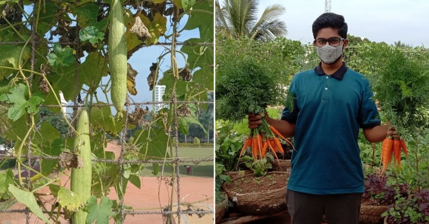 Produce from the organic farm at Vishwa Vidyapeeth school