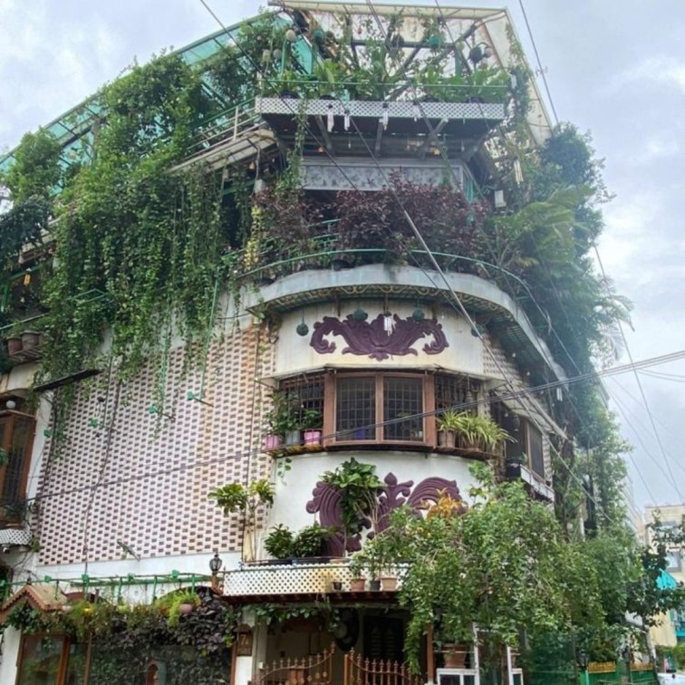 A terrace garden at Chitlapakkam