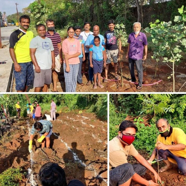Volunteers planting trees at Chitlapakkam 