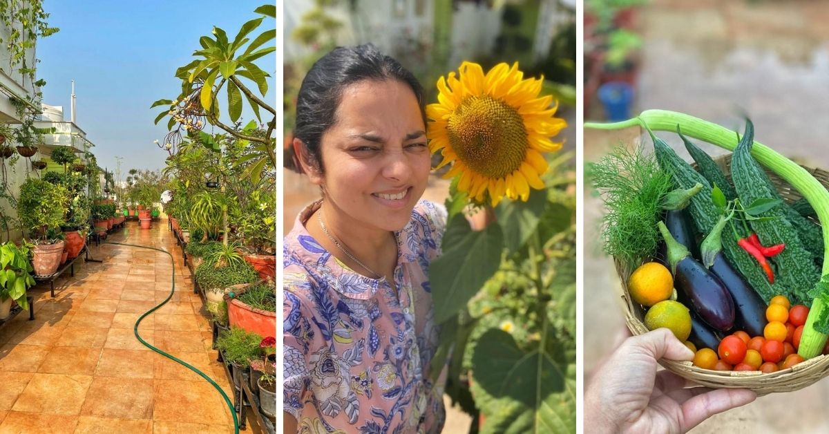 Pastry Chef Has a 1000-Plant Farm on Her Terrace With Seeds From London, Arizona