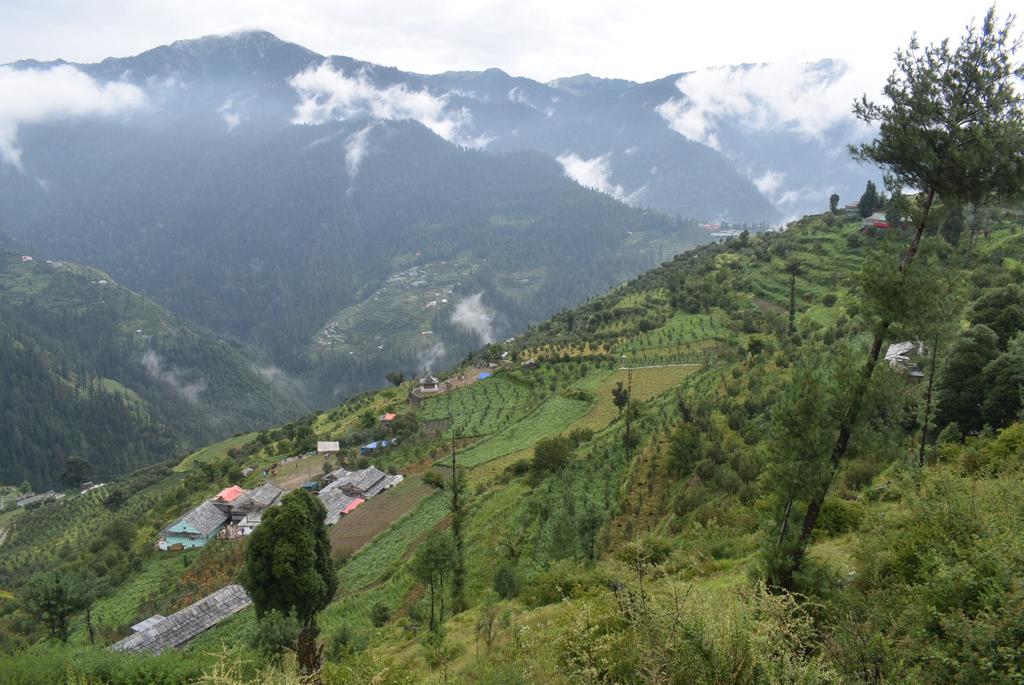 Village Baag in the summers