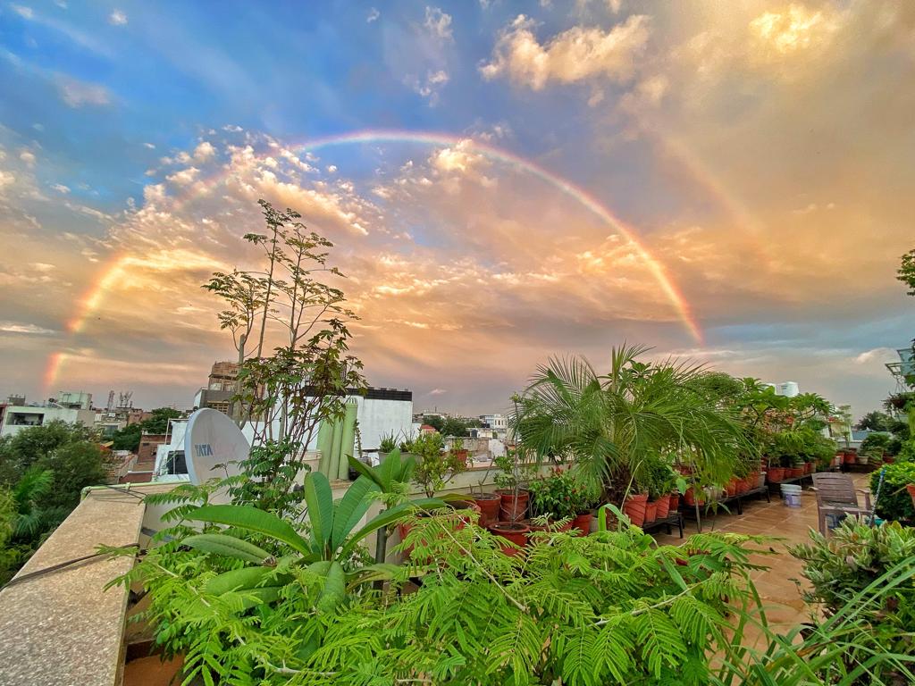 A view of a terrace garden in Delhi 