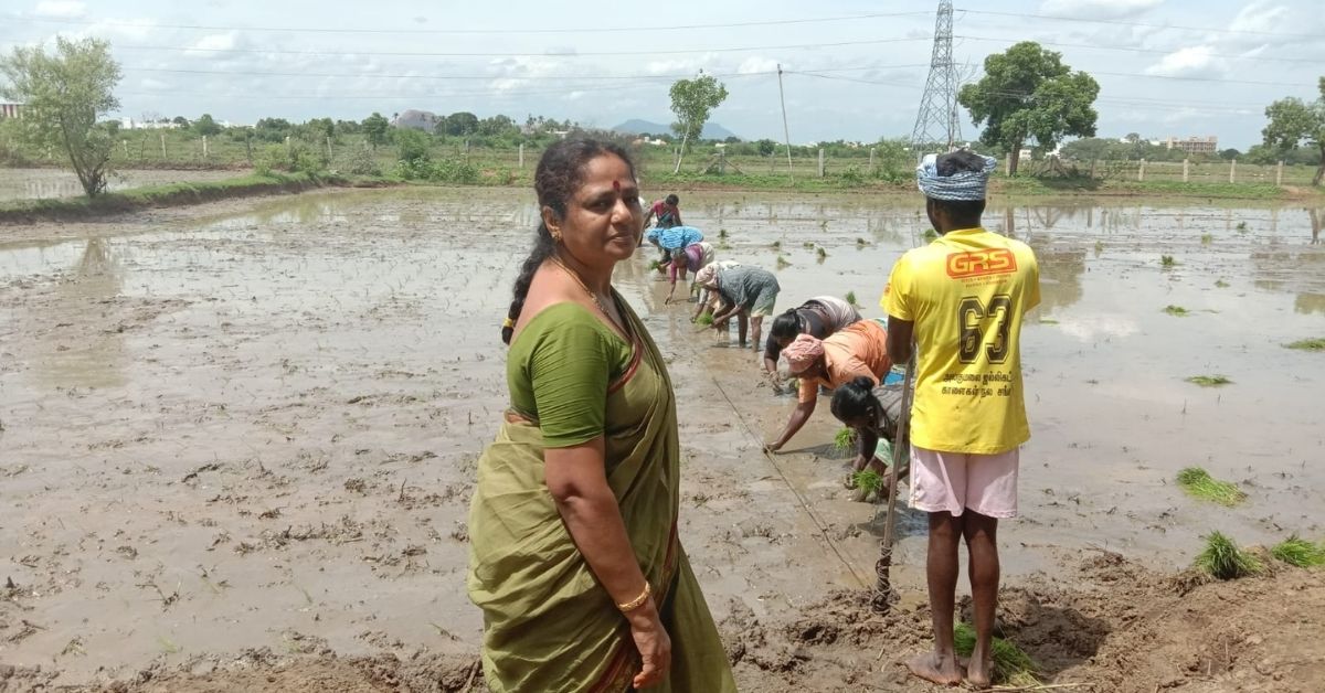 Homemaker Converts Family’s 10-Acre Chemical Laden Land Into Organic Farm