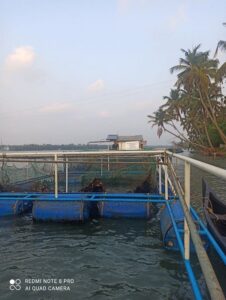 Kerala Woman’s Award-Winning Fish Farm Helps Her Earn Rs 5 Lakh/Year