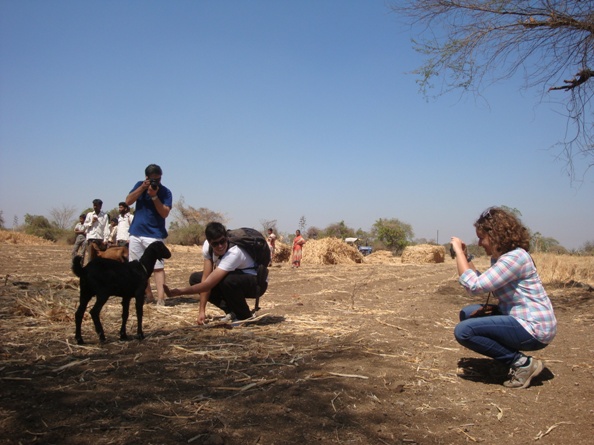 In a farm promoting agritourism