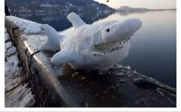 snow artists in Kashmir sculpt fish