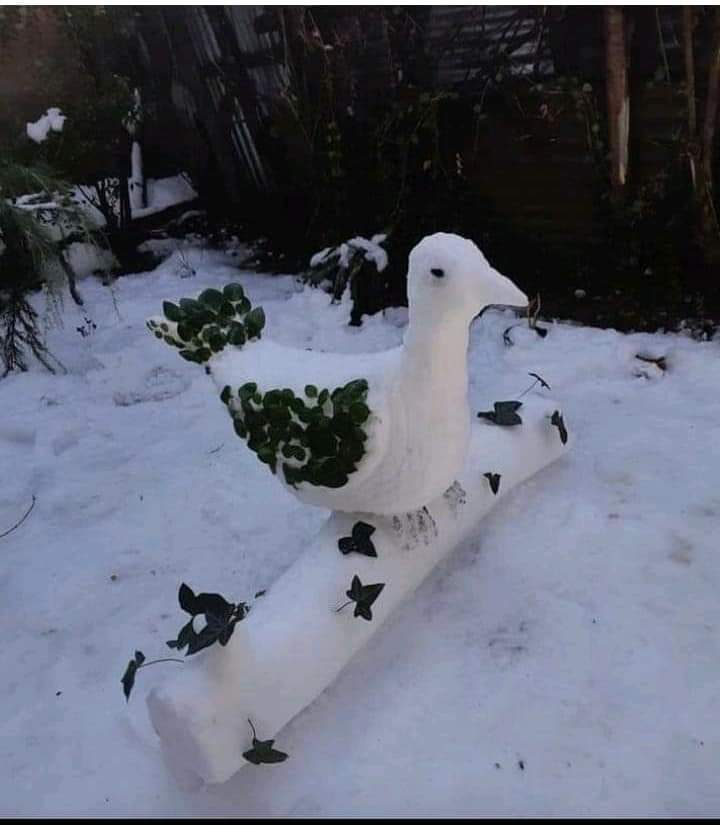 Snow artists in Kashmir sculpt a snow bird