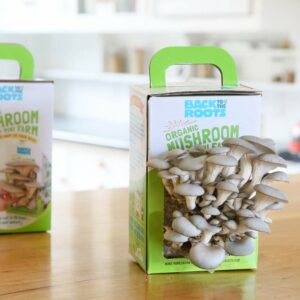 Best DIY Mushroom Grow-Kits for Your Garden & 5 Expert Tips to Get you Started Today