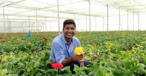 Engineer Quits Job to Grow Gerbera Flowers; Earns Rs 18 Lakh, Creates Jobs for Hundreds