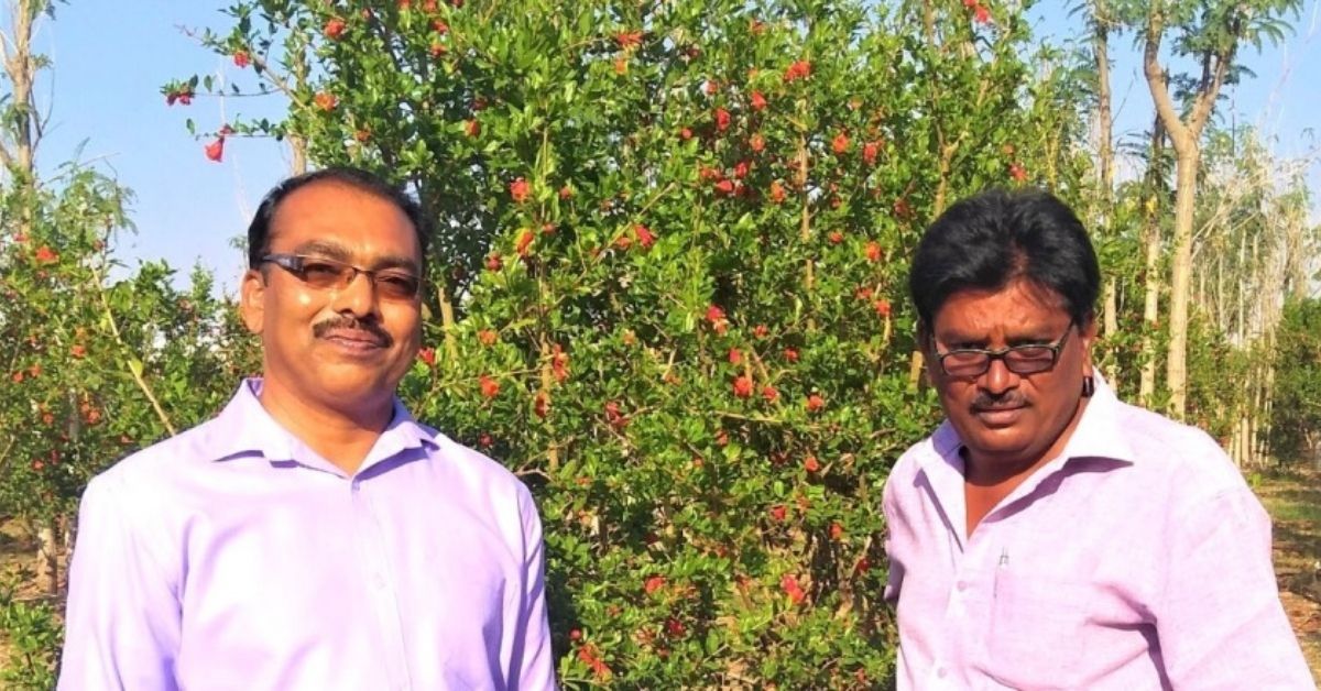 Father’s Struggle Inspires Biochemist’s Innovation That Boosts Crop Yield By 35%