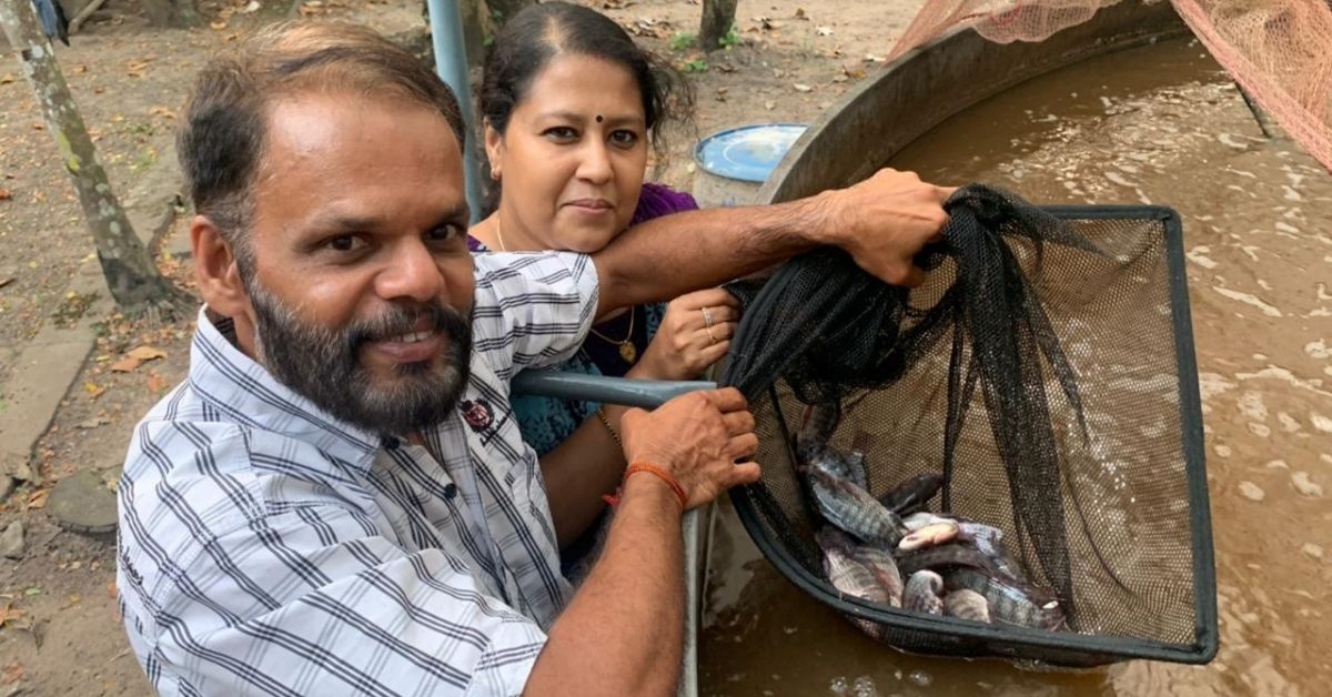 Using Biofloc Tech for Fish Farming, Couple Earns Rs 1 Lakh From Single Harvest
