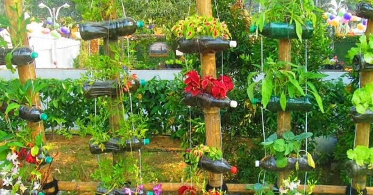 How to Design Vertical Gardens Anywhere in Your Home with Old Plastic Bottles