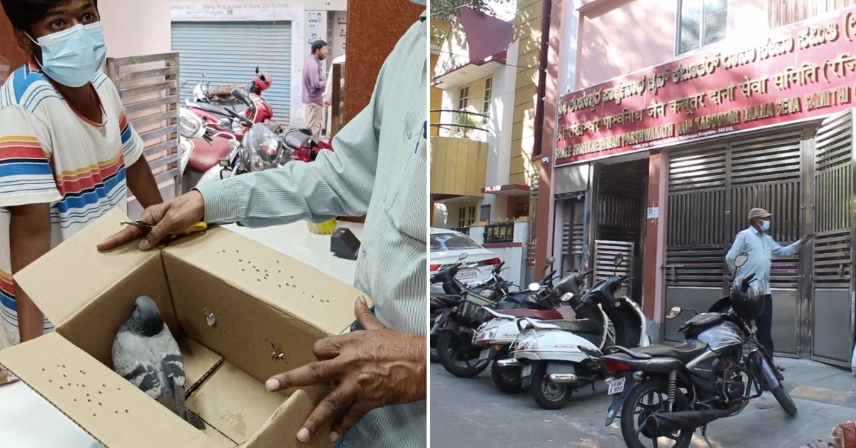 The pigeon hospital at Rajaji Nagar Bengaluru