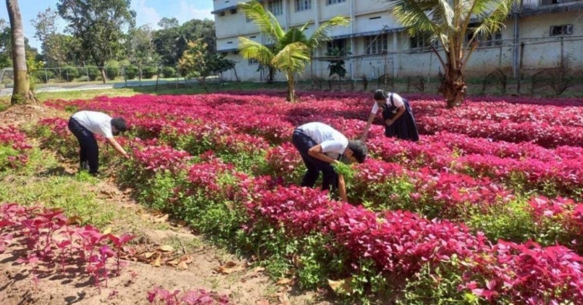 Watch: How Kerala School Aims to be Carbon Neutral With Bamboo Gardens & Solar Lights