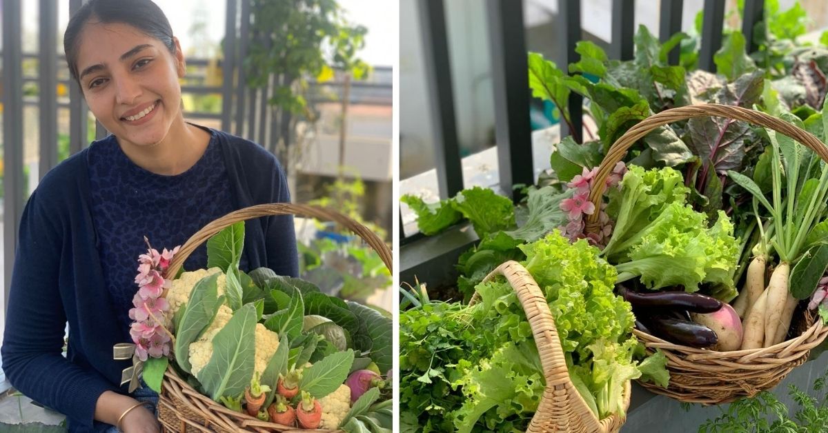 200 Plants in 2000 Sqft: Gardener Grows all Veggies for the Household on Her Terrace