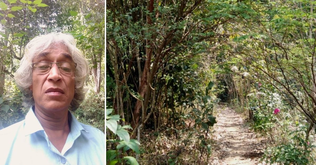 67-YO Single-Handedly Turns Rubber Plantation Into Mini Forest With Thousands Of Trees