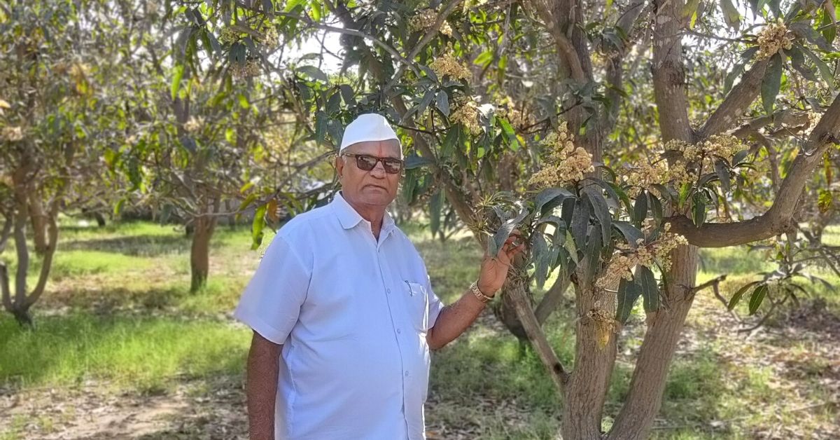 Veljibhai Bhudia organic farmer