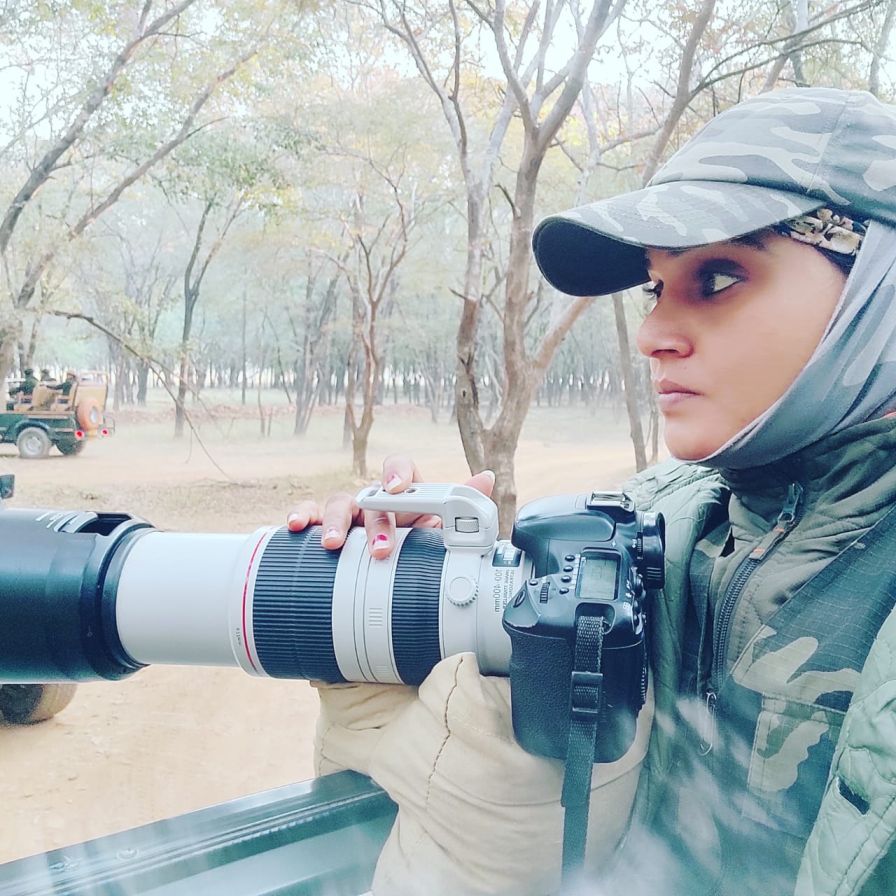 Ranthambore 