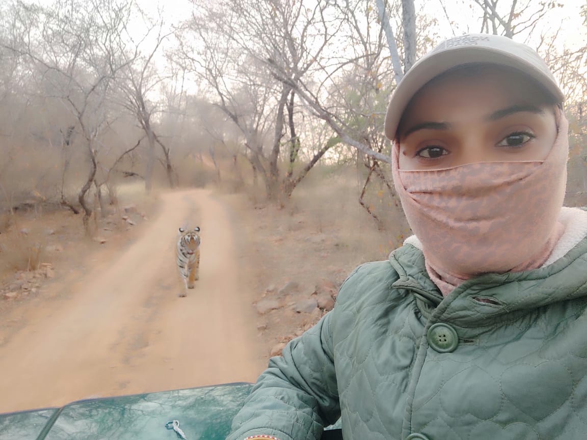 Ranthambore 