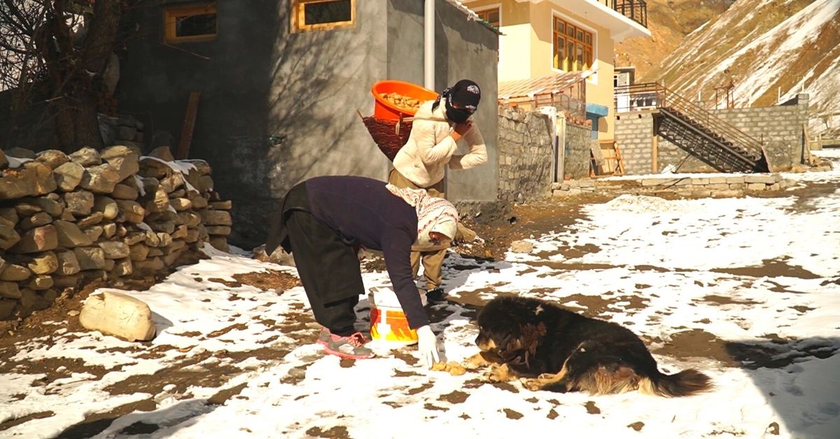 Women of Spiti carrying food for the dogs