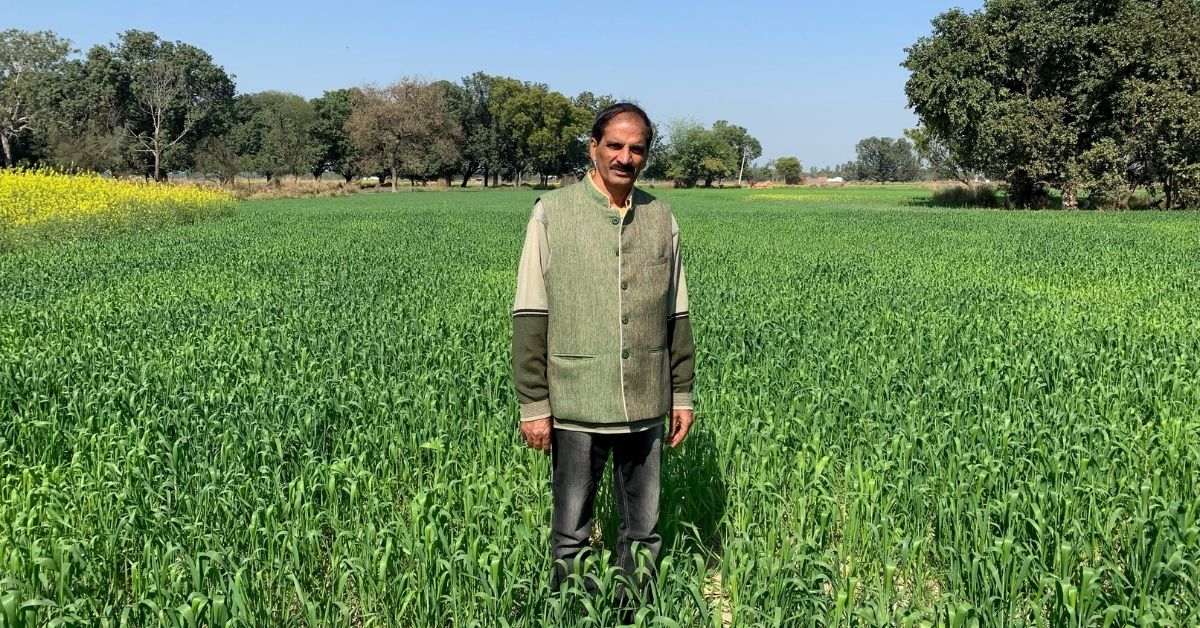 How Hybrid Seeds & Advanced Farming Techniques Helped 50k Farmers Double Their Income