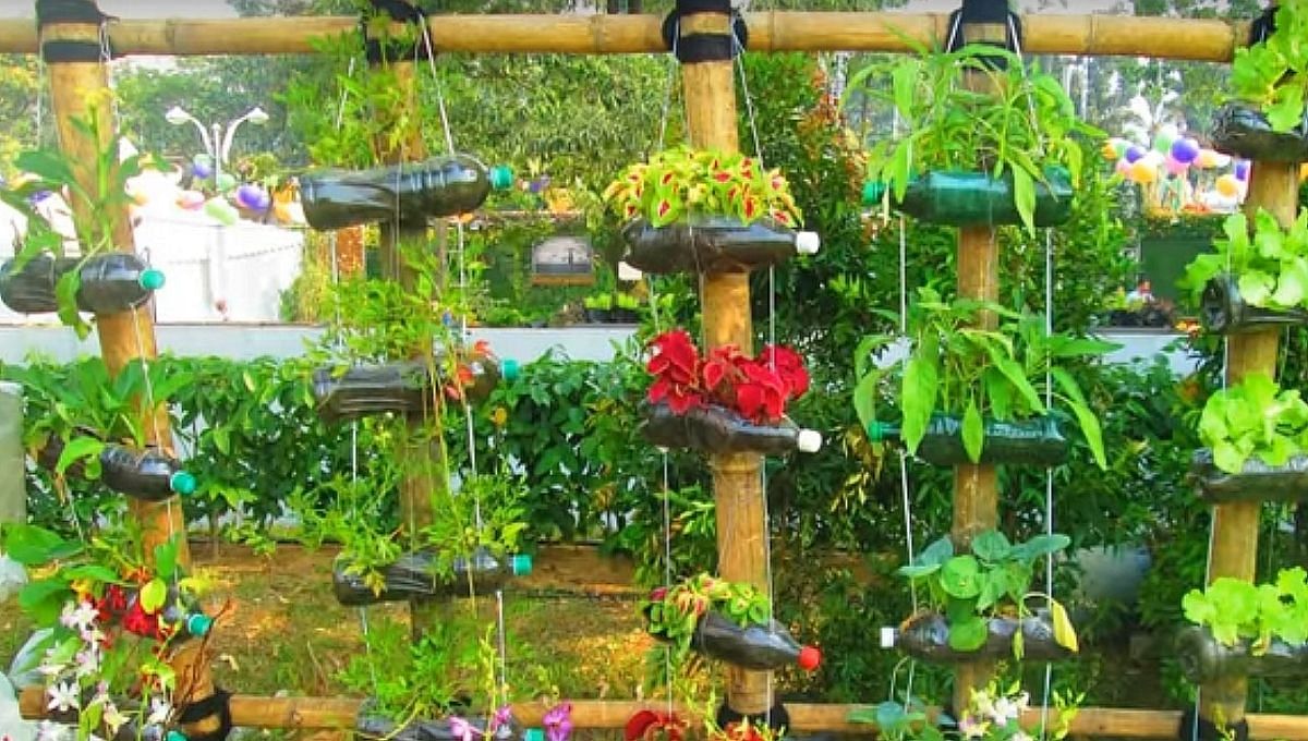 Cum să proiectați grădini verticale oriunde în casa dvs. cu sticle vechi de plastic