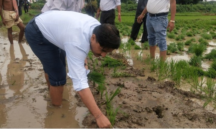 Vijay Kulange participating in paddy farming 