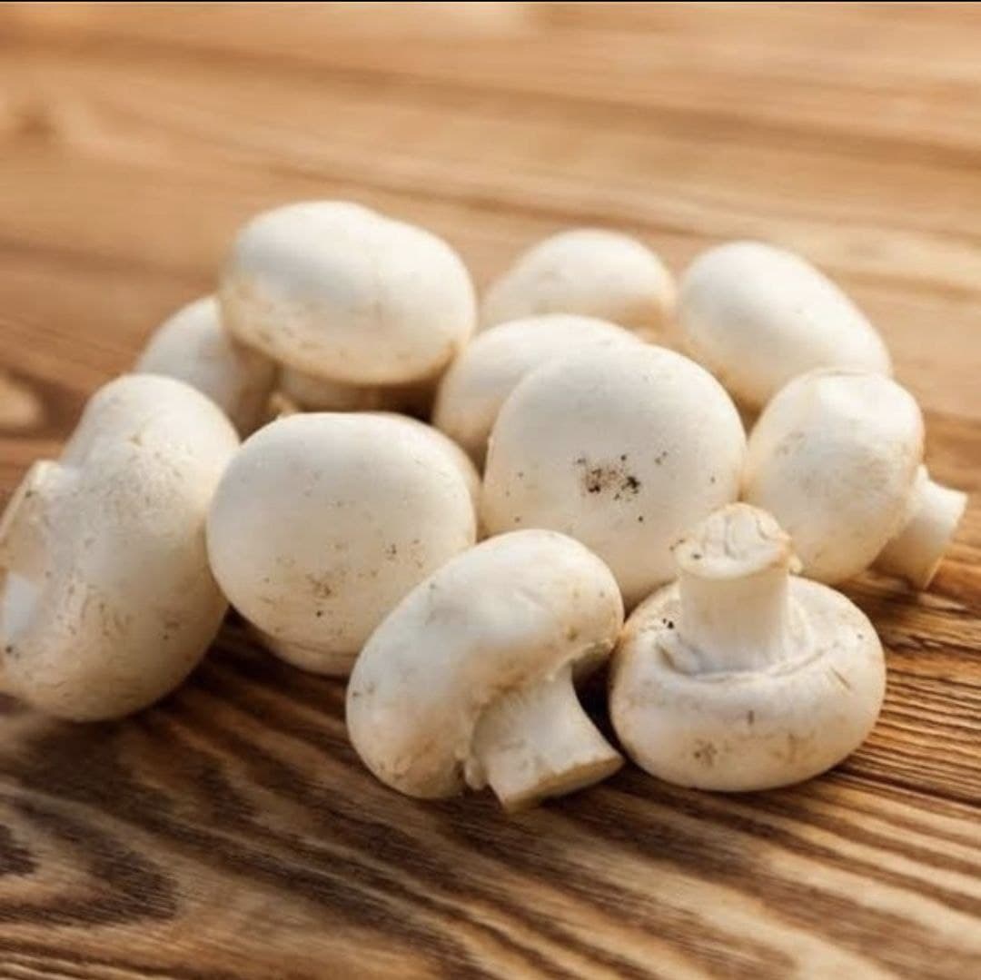 Best DIY Mushroom Grow-Kits for Your Garden & 5 Expert Tips to Get you Started Today