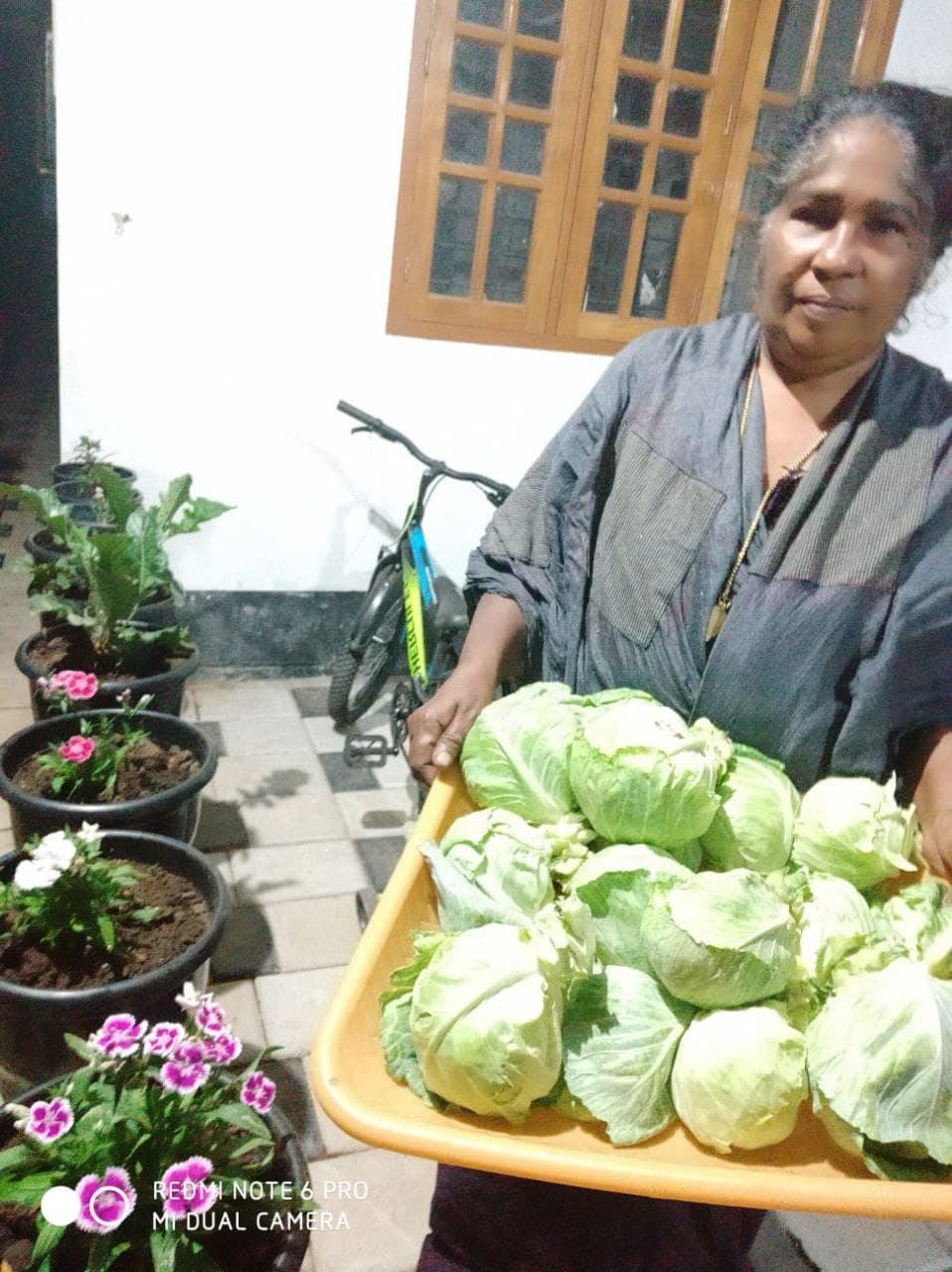 Kerala Homemaker Grows Paddy On Her Terrace & Harvest 45 Kilos A Year