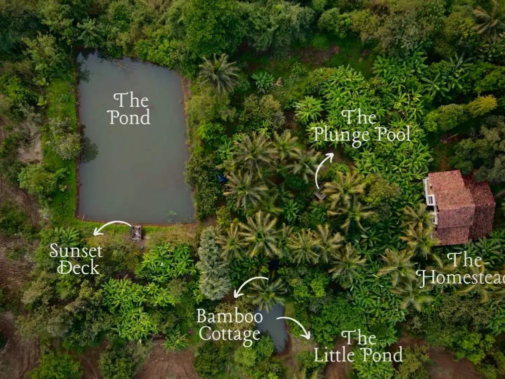 Layout of The Kokum Tree Home Stay