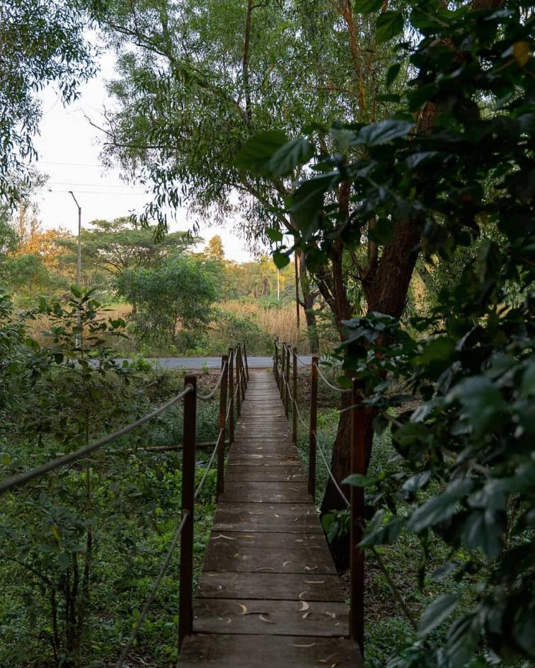 Leaving Behind City Lives, We Turned Our Ajji’s House Into A Beautiful Homestay