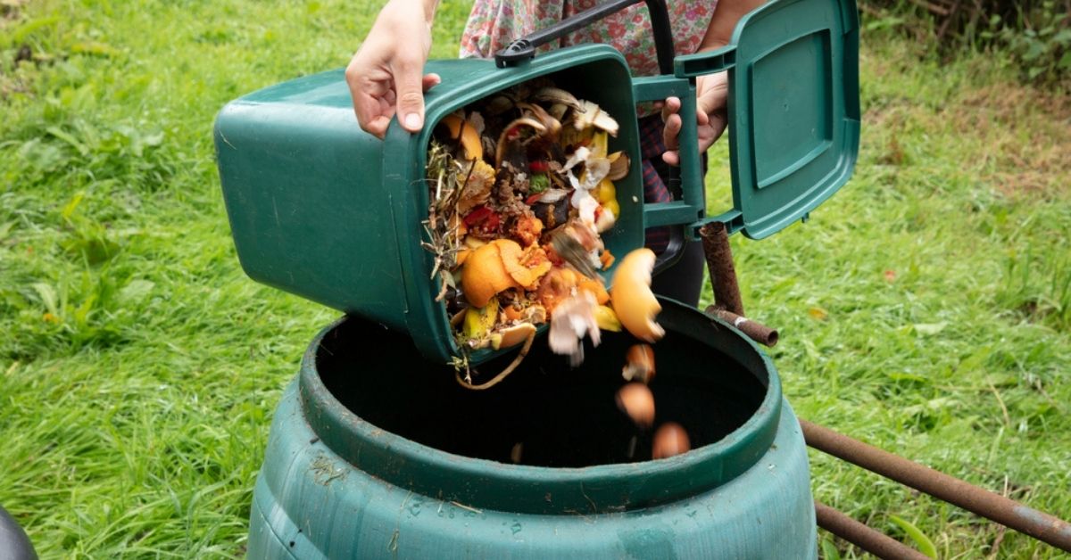 Compost Bin