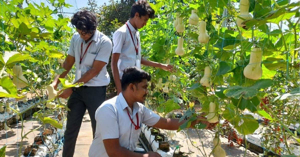 Kochi Students Create Low-Cost Innovative Solution That Triples Hydroponics Yield