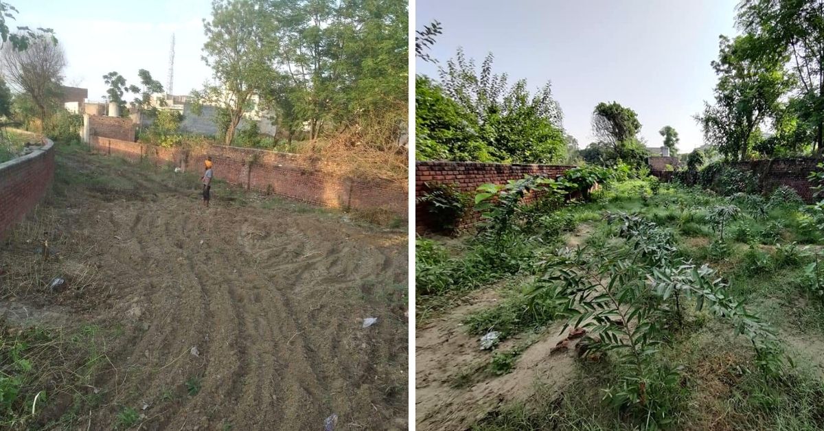 25 Youngsters From a Punjab Village Turn Barren Land into 20 Mini Forests