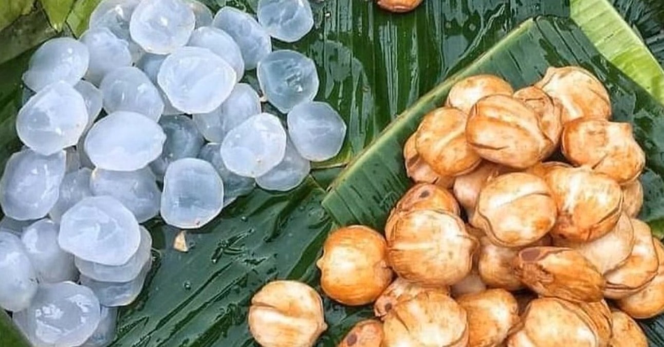 Taal, Tadgola, Nungu: Ice Apples, India’s Traditional Saviour in the Summers