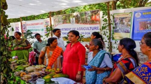 Konkan fruit festival