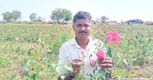 Despite Acute Water Shortage, Farmers Innovate & Earn Lakhs Growing Roses