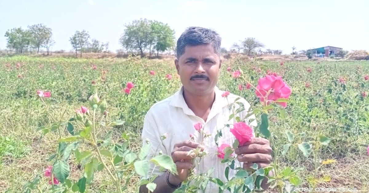 Drought prone Maharashtra rose farm