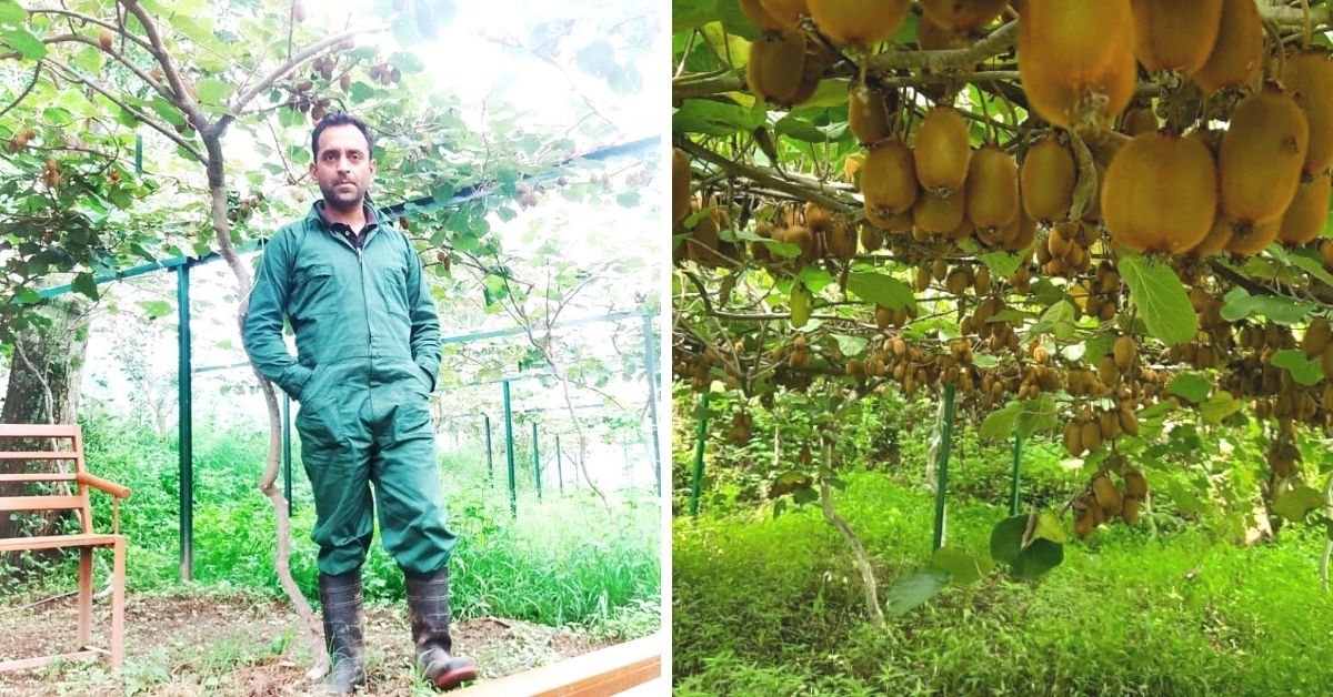 Techie-Turned Organic Farmer Converts Barren Land into Fruit Farm, Earns Rs 40 Lakh a Year