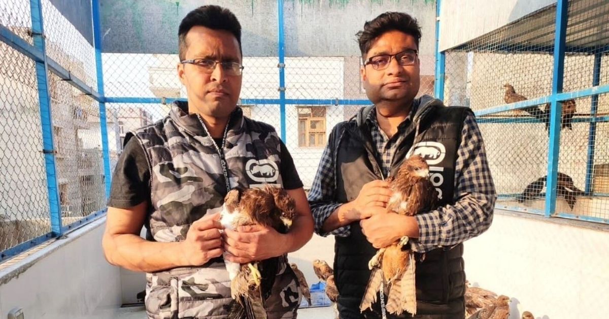 Watch How Two Brothers Rescued 23000 Injured Birds In a Makeshift Basement Clinic