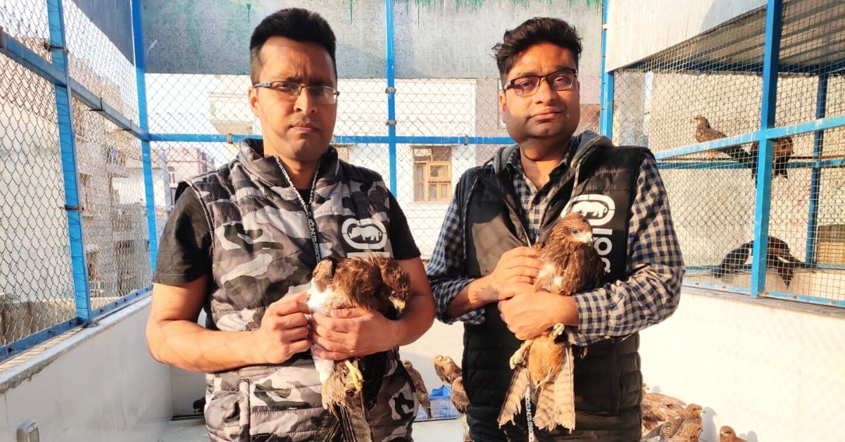 From a Makeshift Clinic at Home, Siblings Rescue 23,000 Birds Over 20 Years