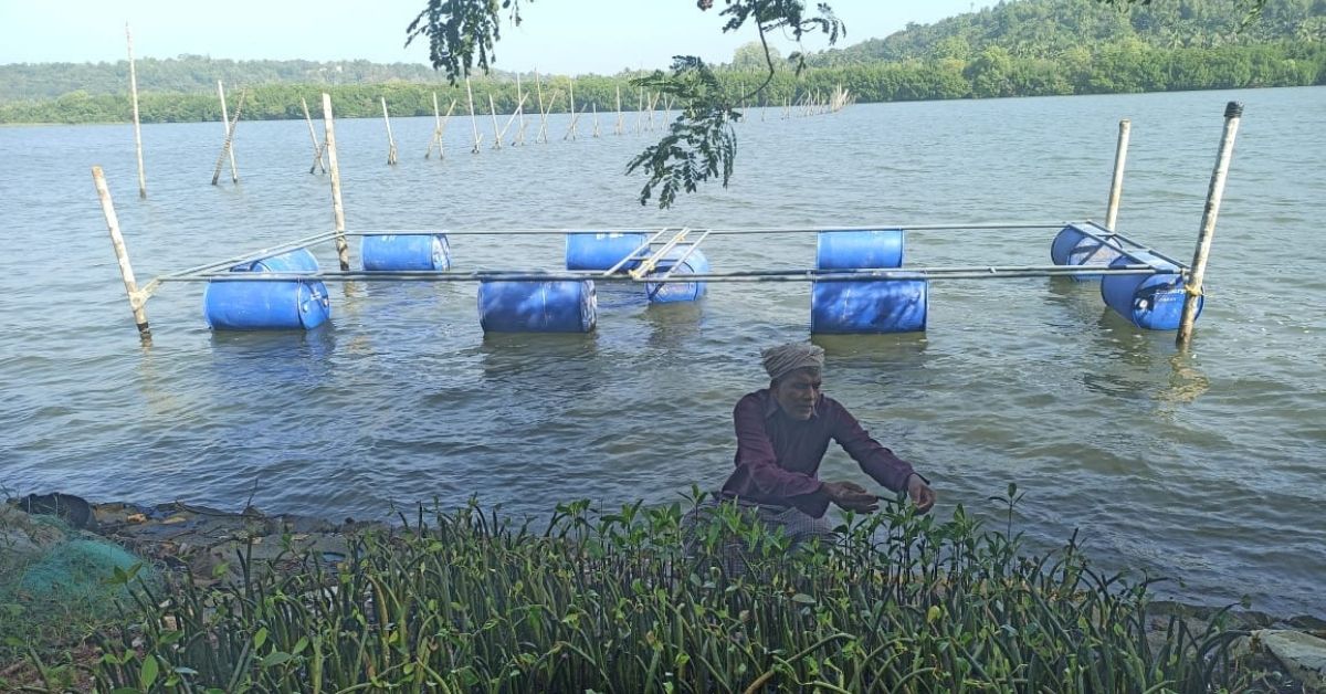 Kandal Rajan at his mangrove nursery