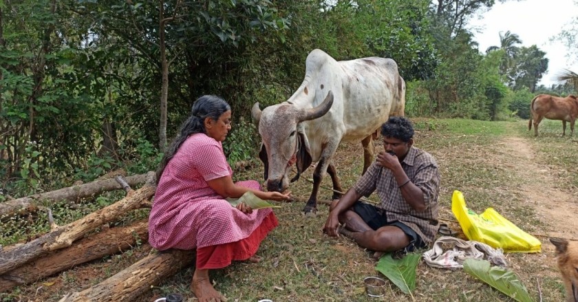 P Bhuvaneshwari