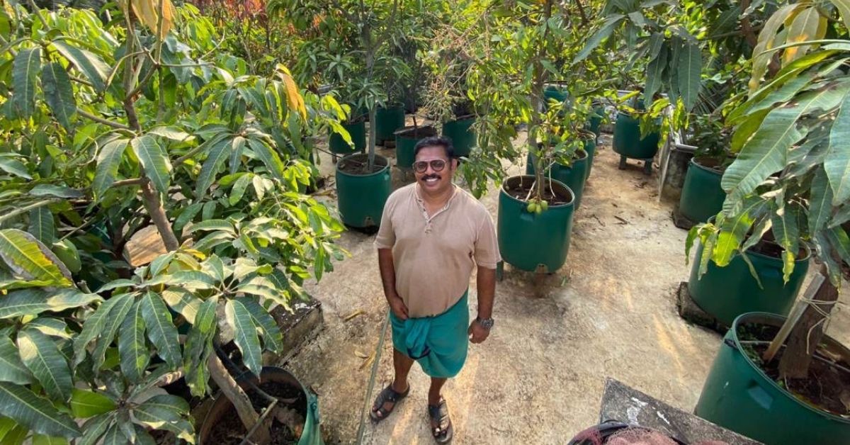 Kerala Gardener Grows 135 Fruit Trees In Plastic Drums On Terrace, Shares Tips