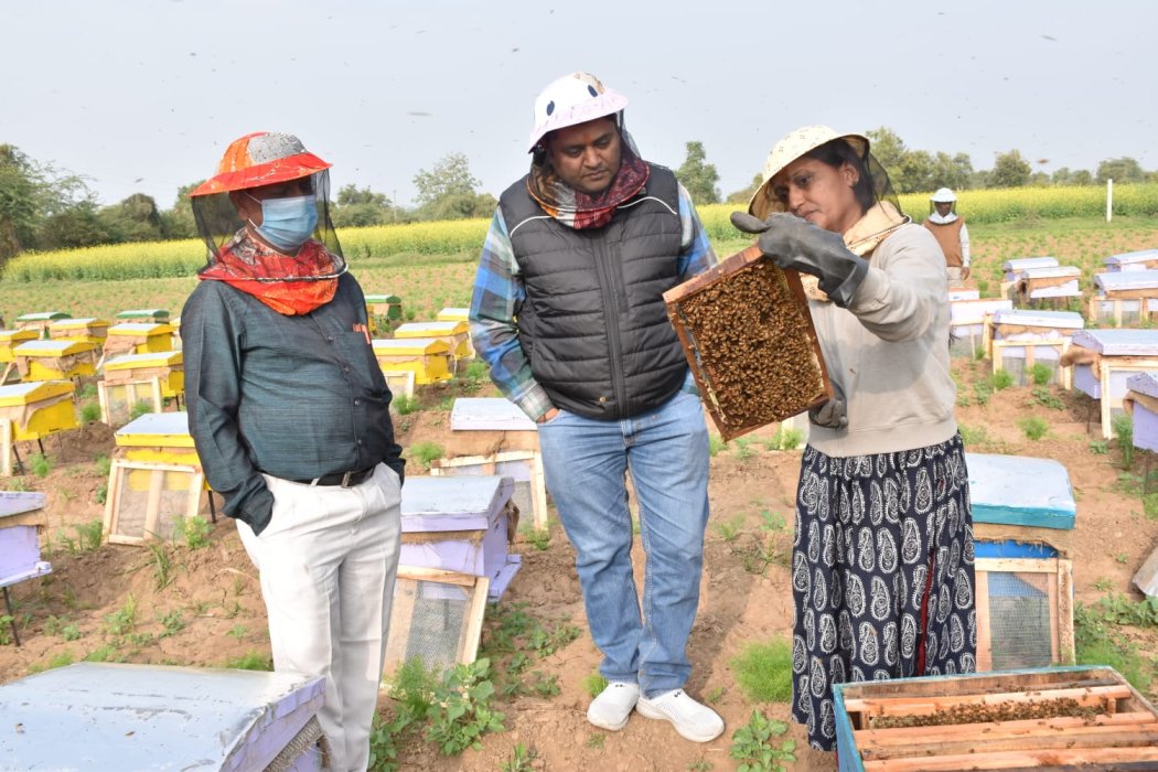 100% Pure Beeswax Direct from a Beekeeper – Ames Farm Single Source Honey