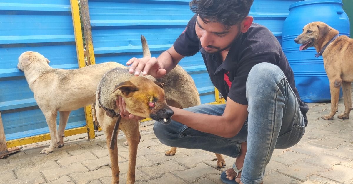 Sarvoham Trust dog NGO founder xyz with a stray