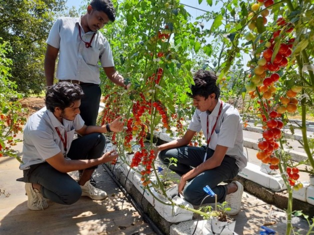 Kochi Students Create Low-Cost Solution That Triples Hydroponics Yield